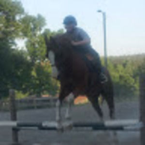 Meet your Posher, Forrest